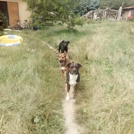 Samota U Lesa